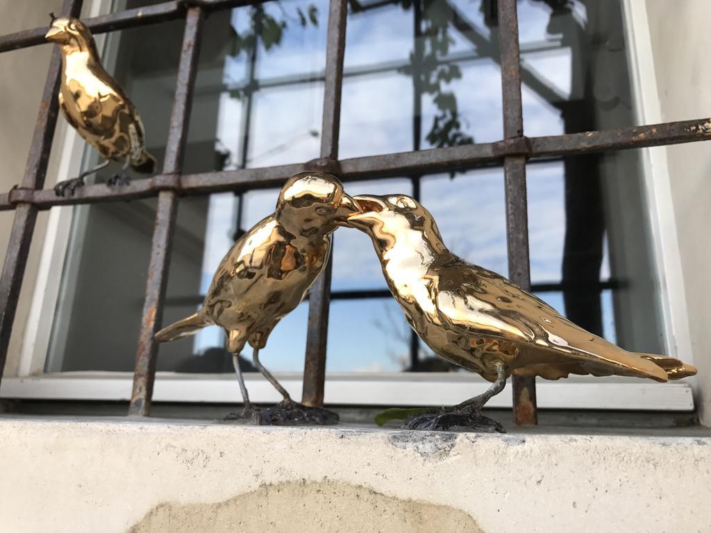 B&B Ca Bianca Dell'Abbadessa Сан-Лаццаро-ді-Савена Екстер'єр фото